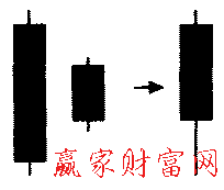 家鴿形態(tài)的簡化