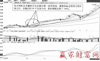 大陰線