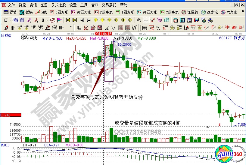 雅戈?duì)枮踉粕w頂形態(tài)