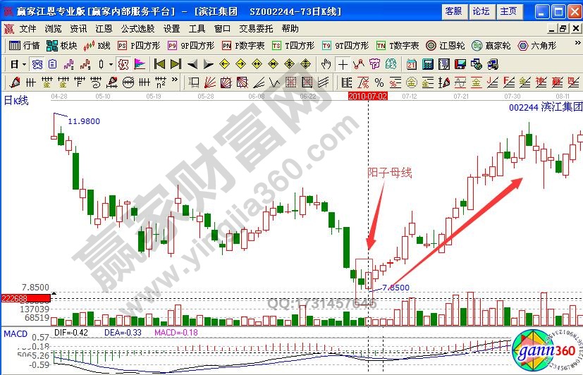 濱江集團002244什么是陽子母線