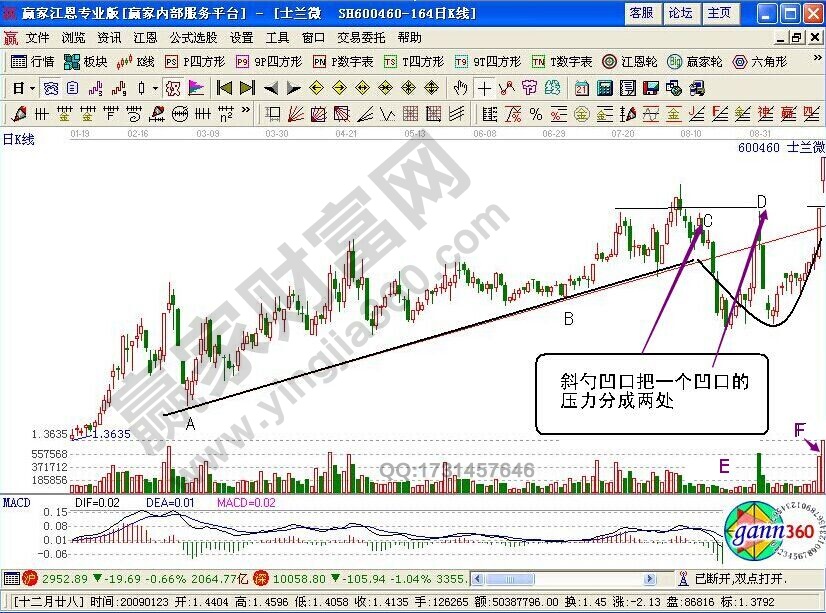 斜勺凹口形態(tài)特征