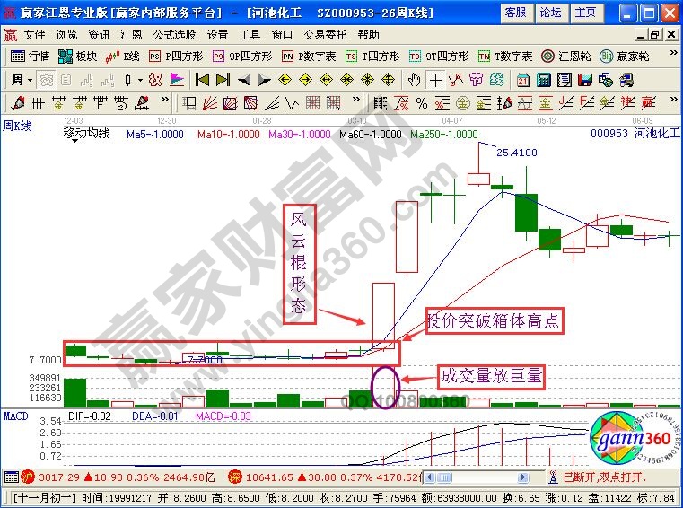 風(fēng)云棍形態(tài)特征