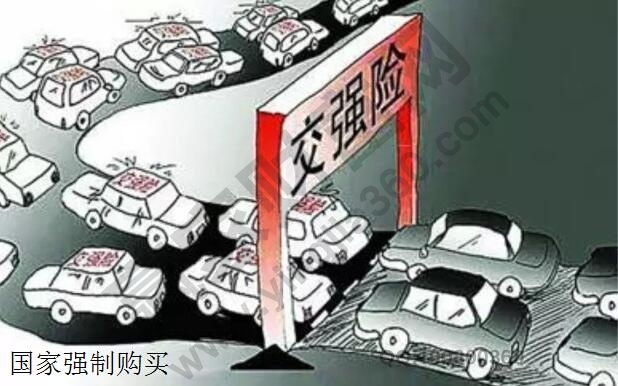 汽車保險