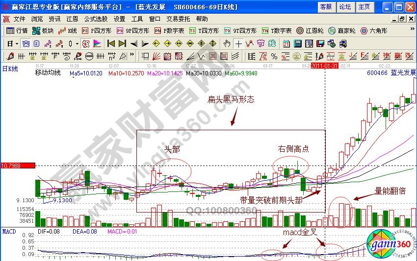 藍光發(fā)展扁頭黑馬形態(tài)