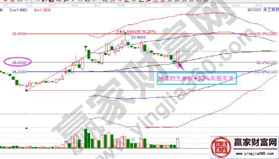 江陰銀行標準生命線+50%共振買