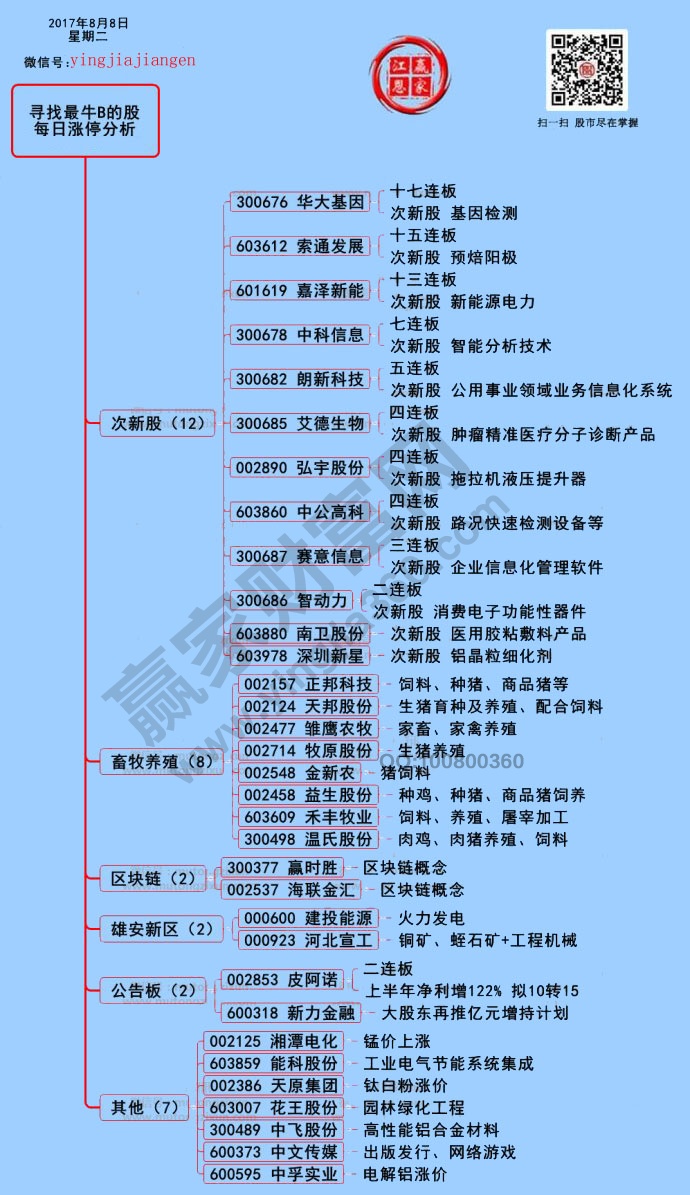 漲停板揭秘圖