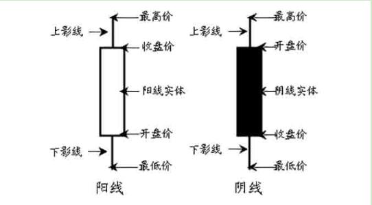 陽(yáng)線和陰線