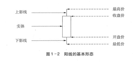 陽線